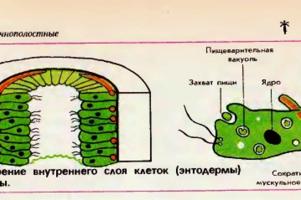 Как открыть кракен