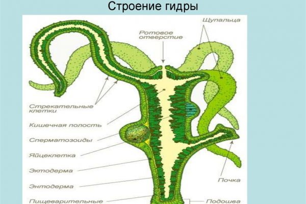 Пополнить кошелек кракен